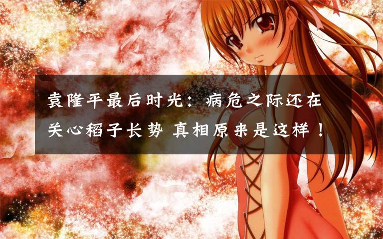 袁隆平最后时光：病危之际还在关心稻子长势 真相原来是这样！