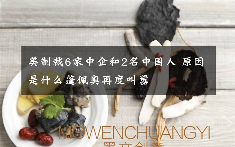 美制裁6家中企和2名中国人 原因是什么蓬佩奥再度叫嚣