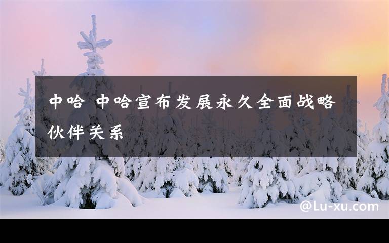 中哈 中哈宣布发展永久全面战略伙伴关系