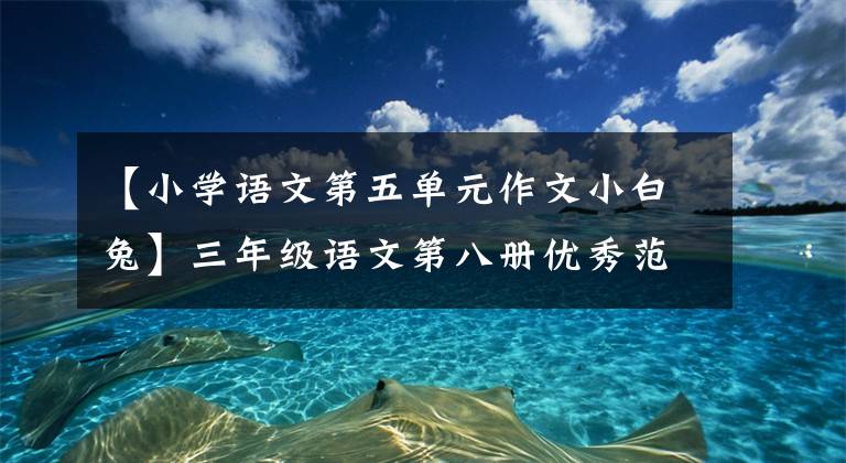 【小学语文第五单元作文小白兔】三年级语文第八册优秀范文写作：如果蜗牛像飞一样走路的话。