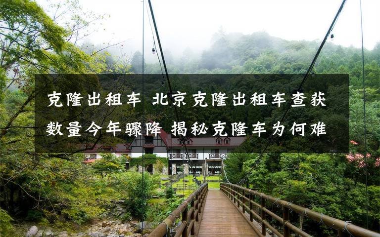 克隆出租车 北京克隆出租车查获数量今年骤降 揭秘克隆车为何难以根绝