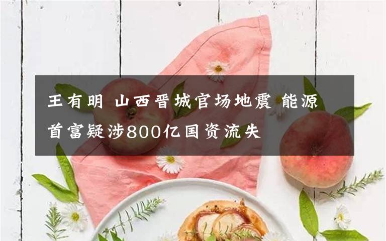 王有明 山西晋城官场地震 能源首富疑涉800亿国资流失
