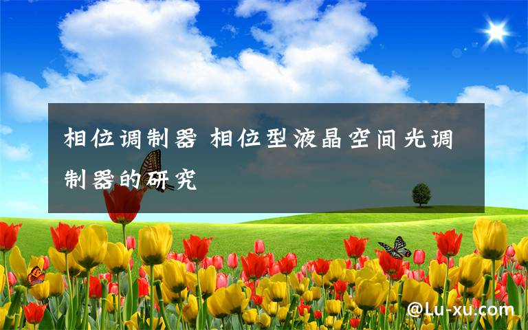 相位调制器 相位型液晶空间光调制器的研究