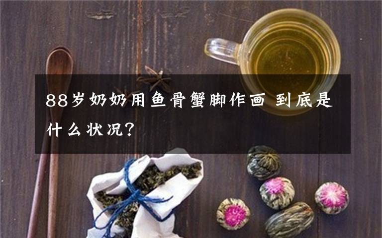 88岁奶奶用鱼骨蟹脚作画 到底是什么状况？