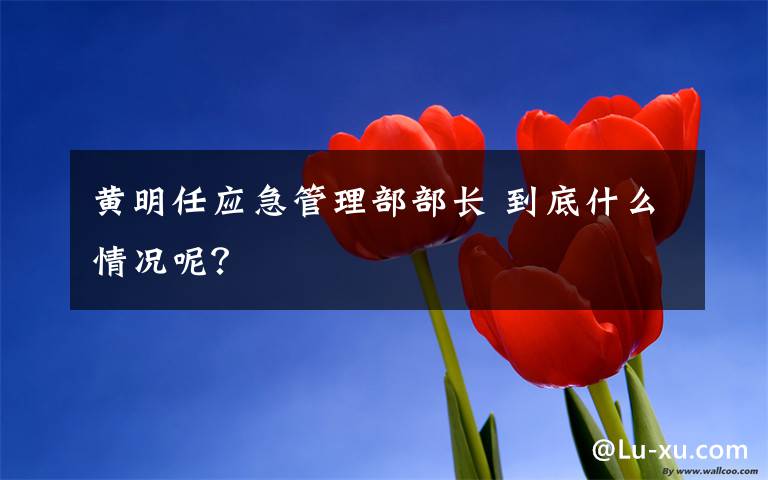 黄明任应急管理部部长 到底什么情况呢？