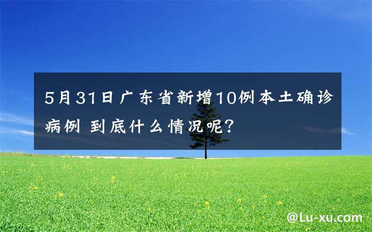 5月31日广东省新增10例本土确诊病例 到底什么情况呢？