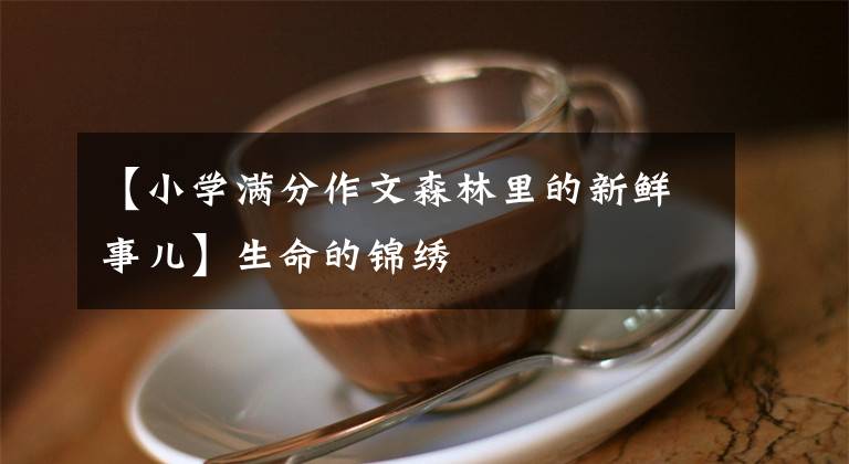 【小学满分作文森林里的新鲜事儿】生命的锦绣