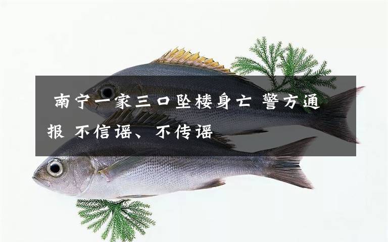  南宁一家三口坠楼身亡 警方通报 不信谣、不传谣