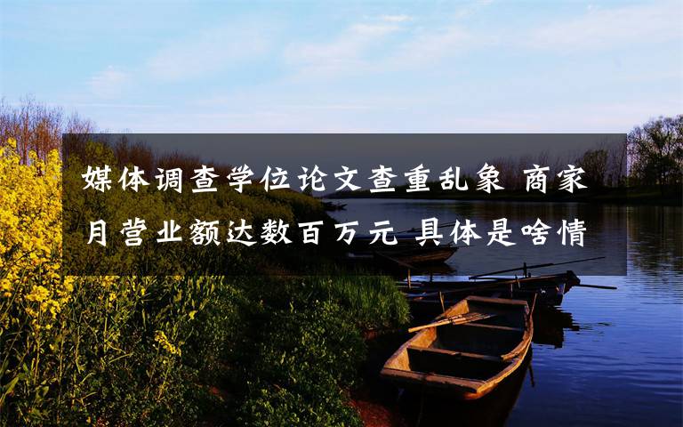 媒体调查学位论文查重乱象 商家月营业额达数百万元 具体是啥情况?
