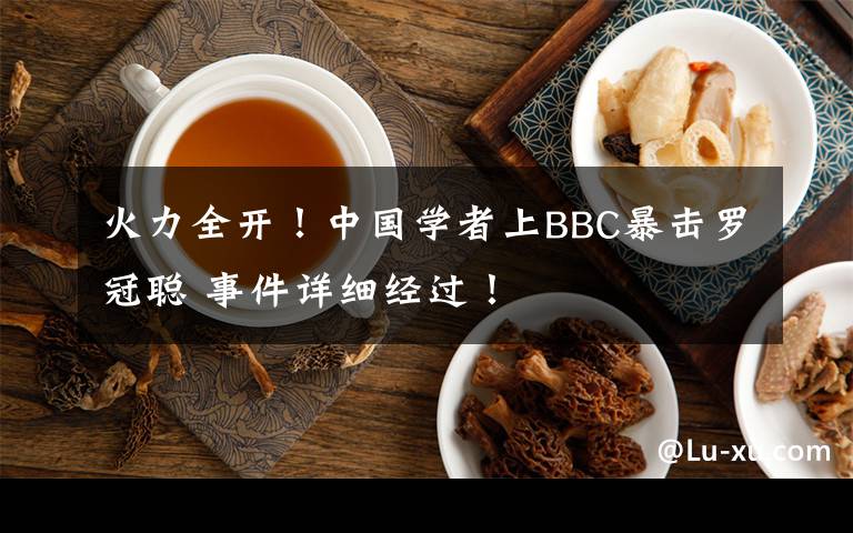 火力全开！中国学者上BBC暴击罗冠聪 事件详细经过！
