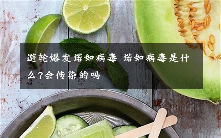 游轮爆发诺如病毒 诺如病毒是什么?会传染的吗