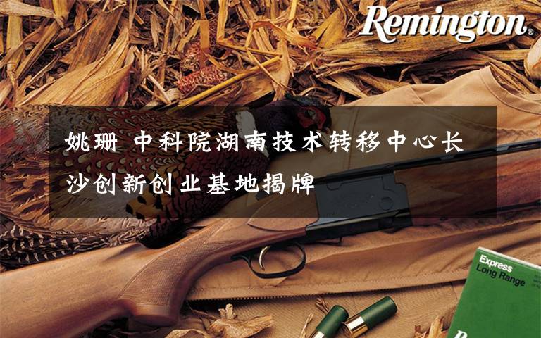 姚珊 中科院湖南技术转移中心长沙创新创业基地揭牌