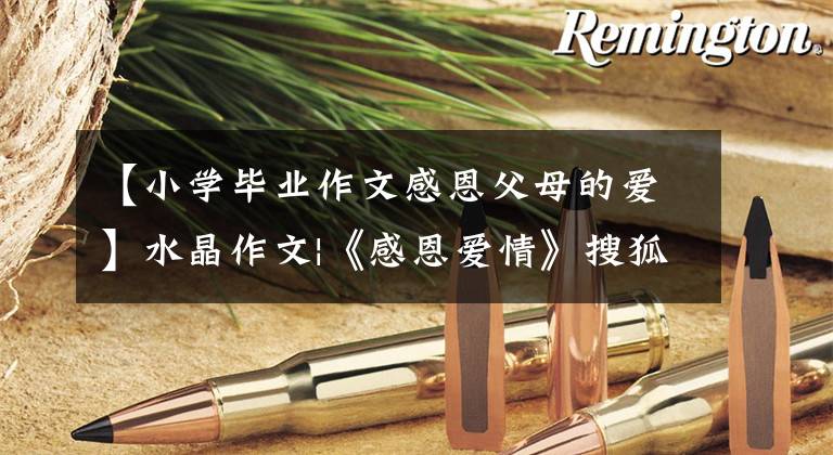 【小学毕业作文感恩父母的爱】水晶作文|《感恩爱情》搜狐文章(1)