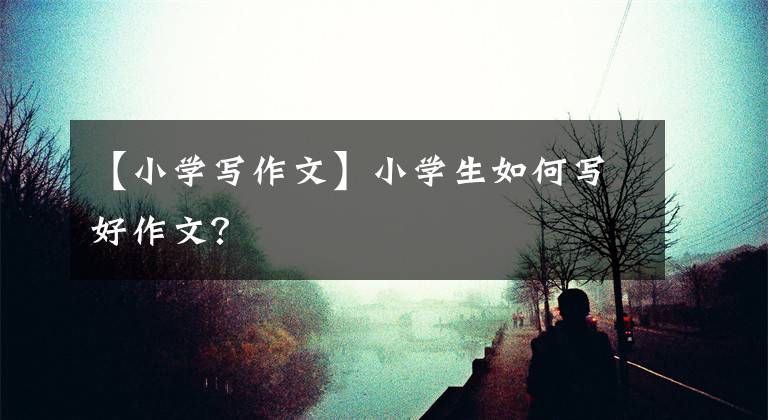 【小学写作文】小学生如何写好作文？