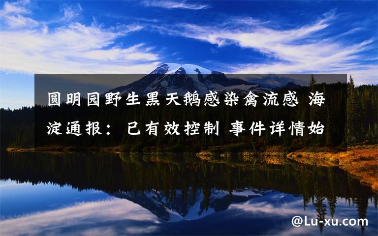 圆明园野生黑天鹅感染禽流感 海淀通报：已有效控制 事件详情始末介绍！