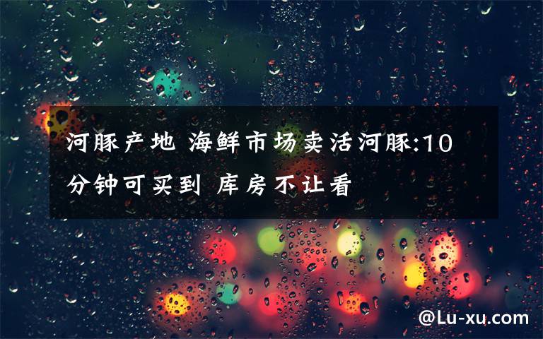 河豚产地 海鲜市场卖活河豚:10分钟可买到 库房不让看