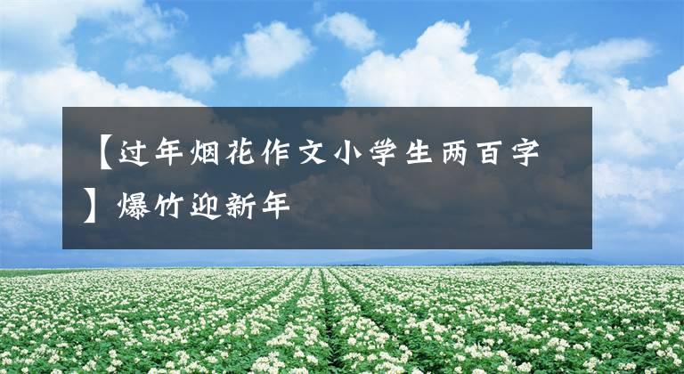 【过年烟花作文小学生两百字】爆竹迎新年