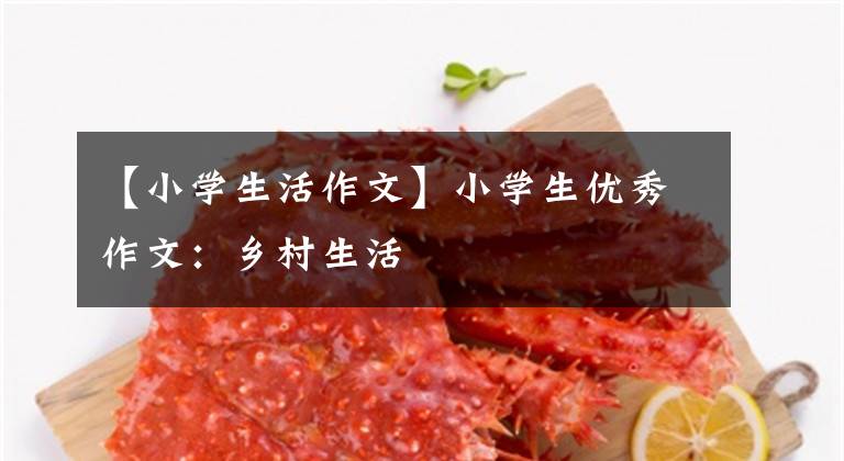 【小学生活作文】小学生优秀作文：乡村生活