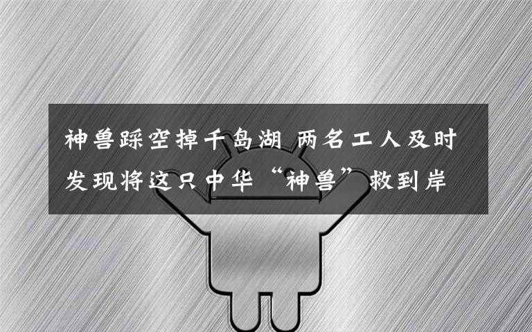 神兽踩空掉千岛湖 两名工人及时发现将这只中华“神兽”救到岸上