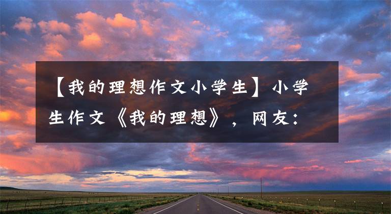 【我的理想作文小学生】小学生作文《我的理想》，网友：词句流畅，句子完整，理想有偏差。