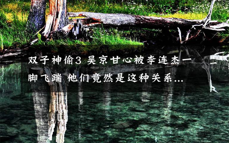 双子神偷3 吴京甘心被李连杰一脚飞踹 他们竟然是这种关系...