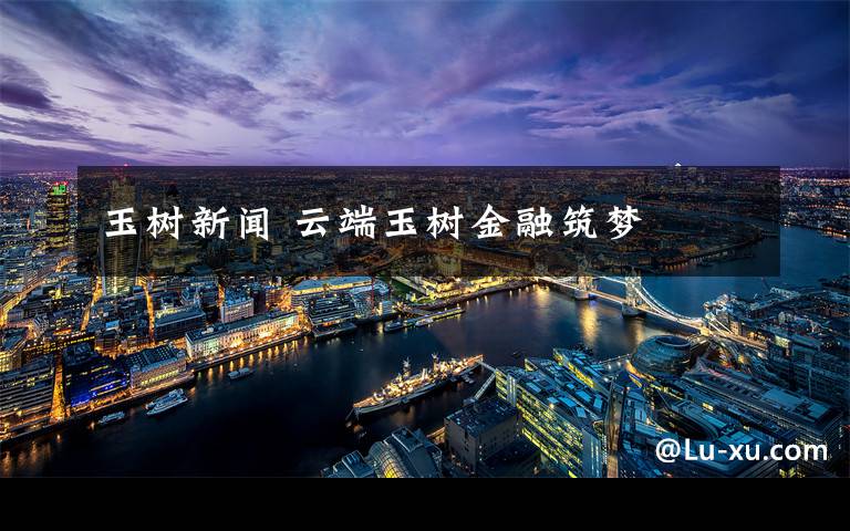 玉树新闻 云端玉树金融筑梦