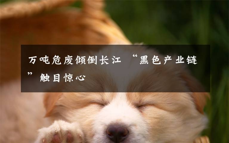 万吨危废倾倒长江 “黑色产业链”触目惊心