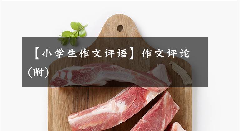 【小学生作文评语】作文评论(附)