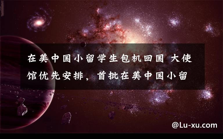 在美中国小留学生包机回国 大使馆优先安排，首批在美中国小留学生包机回国