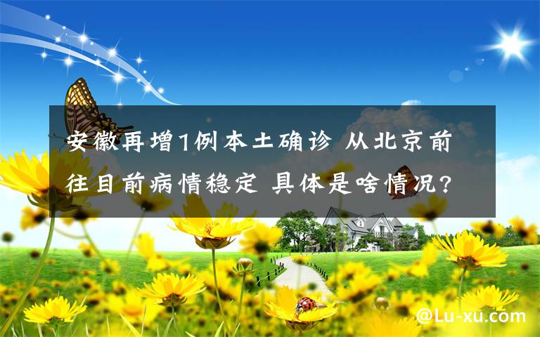 安徽再增1例本土确诊 从北京前往目前病情稳定 具体是啥情况?