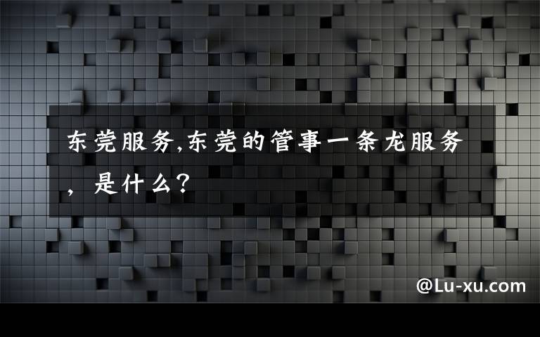 东莞服务,东莞的管事一条龙服务，是什么？