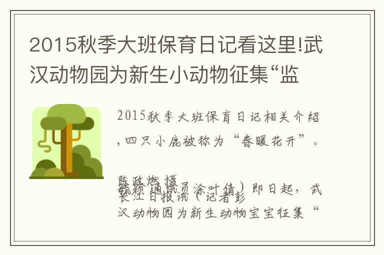 2015秋季大班保育日记看这里!武汉动物园为新生小动物征集“监护人”