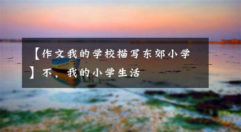 【作文我的学校描写东郊小学】不，我的小学生活
