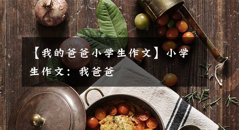 【我的爸爸小学生作文】小学生作文：我爸爸