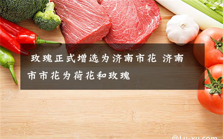  玫瑰正式增选为济南市花 济南市市花为荷花和玫瑰