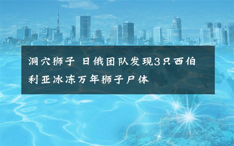 洞穴狮子 日俄团队发现3只西伯利亚冰冻万年狮子尸体