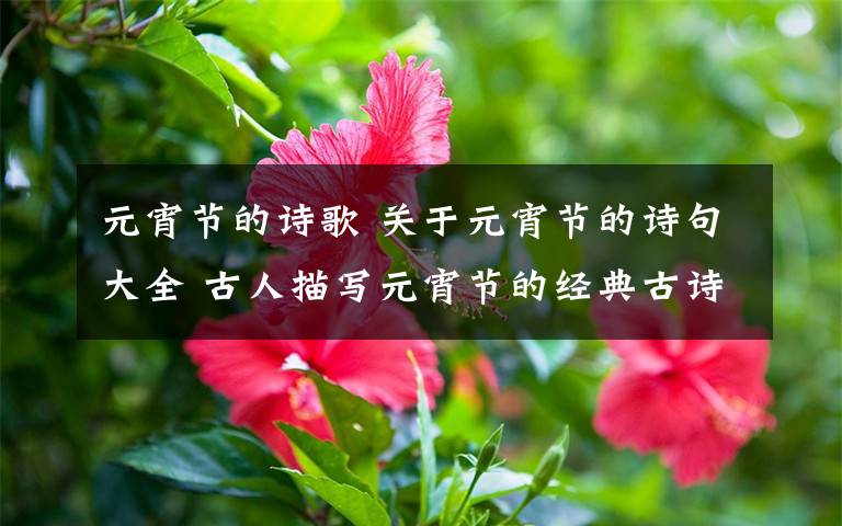 元宵节的诗歌 关于元宵节的诗句大全 古人描写元宵节的经典古诗词精选