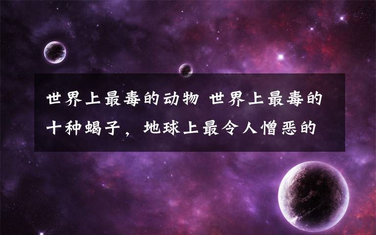 世界上最毒的动物 世界上最毒的十种蝎子，地球上最令人憎恶的动物？