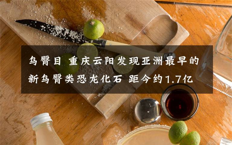 鸟臀目 重庆云阳发现亚洲最早的新鸟臀类恐龙化石 距今约1.7亿年