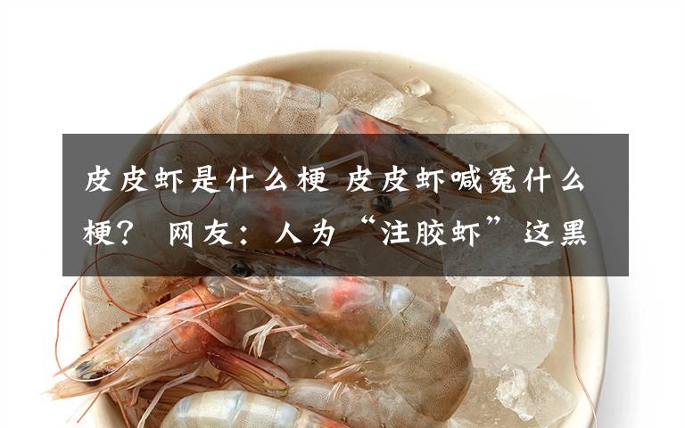 皮皮虾是什么梗 皮皮虾喊冤什么梗？ 网友：人为“注胶虾”这黑锅咱不背