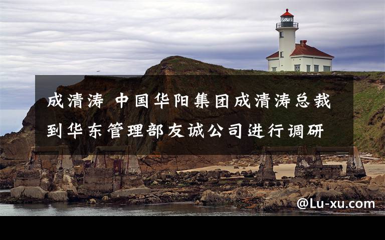 成清涛 中国华阳集团成清涛总裁到华东管理部友诚公司进行调研