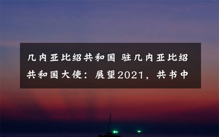 几内亚比绍共和国 驻几内亚比绍共和国大使：展望2021，共书中几比友好新篇章