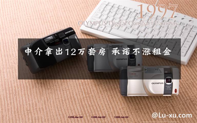 中介拿出12万套房 承诺不涨租金