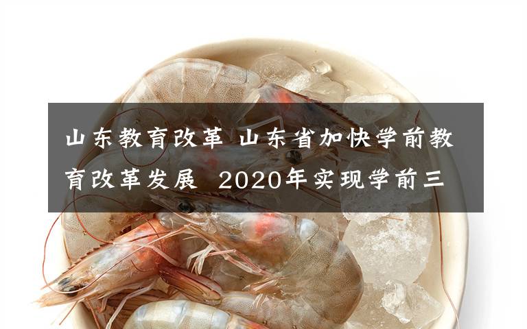 山东教育改革 山东省加快学前教育改革发展  2020年实现学前三年毛入园率90%