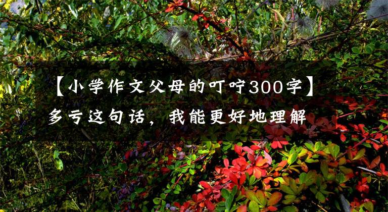 【小学作文父母的叮咛300字】多亏这句话，我能更好地理解父母的爱