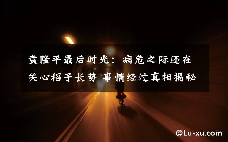 袁隆平最后时光：病危之际还在关心稻子长势 事情经过真相揭秘！