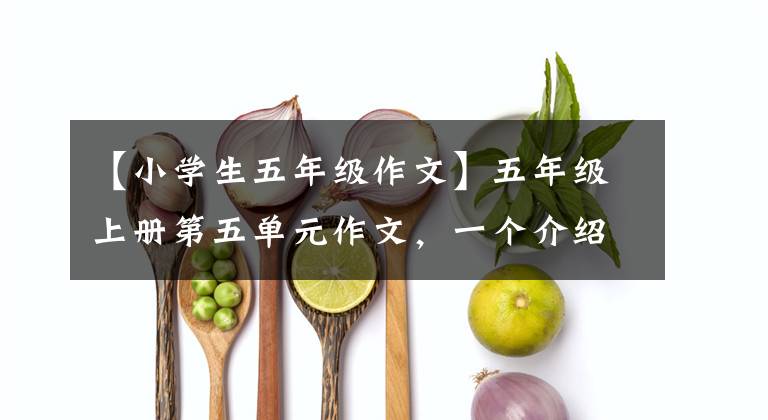 【小学生五年级作文】五年级上册第五单元作文，一个介绍《可爱的海豚》