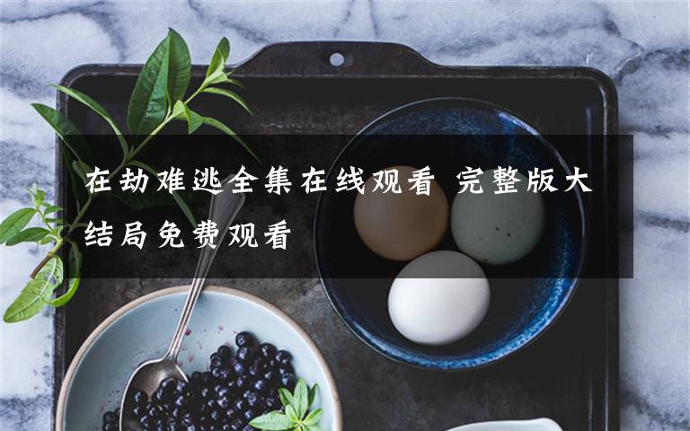 在劫难逃全集在线观看 完整版大结局免费观看