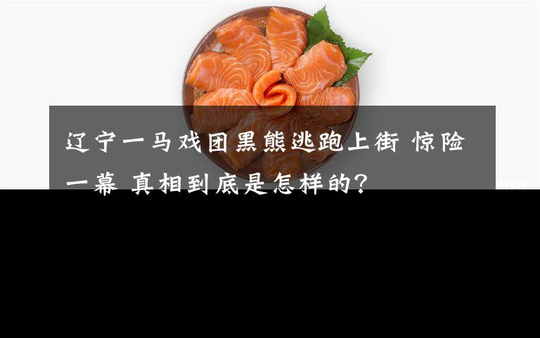 辽宁一马戏团黑熊逃跑上街 惊险一幕 真相到底是怎样的？