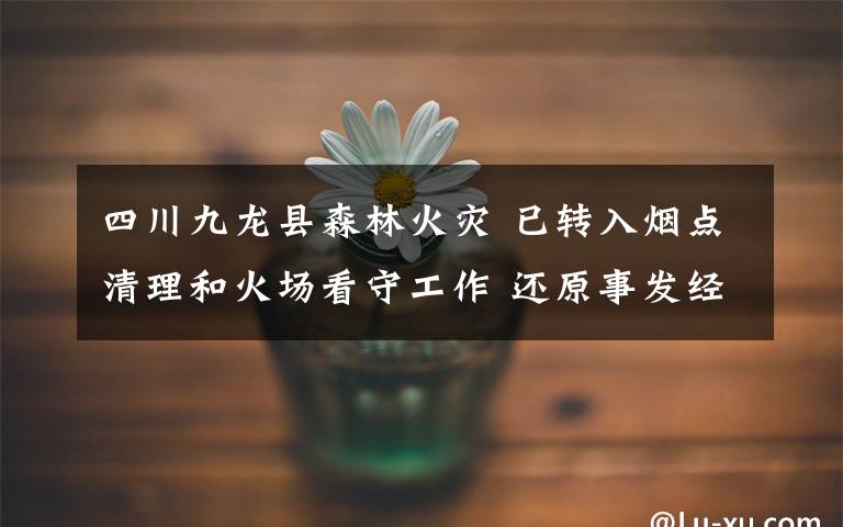 四川九龙县森林火灾 已转入烟点清理和火场看守工作 还原事发经过及背后原因！